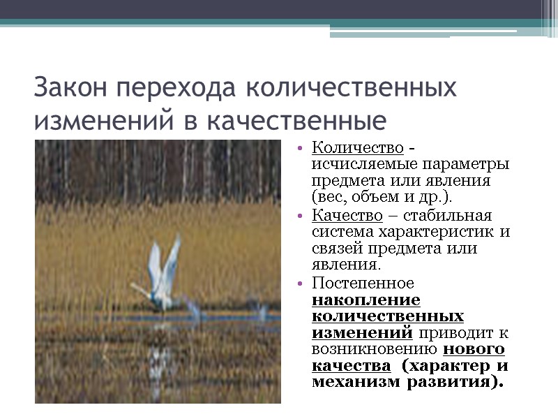 Закон перехода количественных изменений в качественные Количество - исчисляемые параметры  предмета или явления